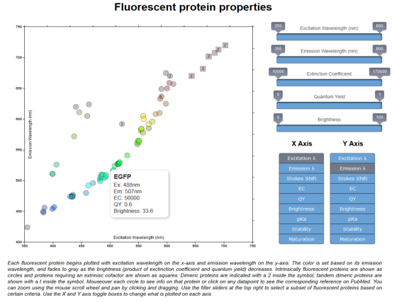 fluorescent_proteins