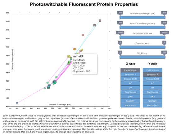 fluorescent_proteins_switch